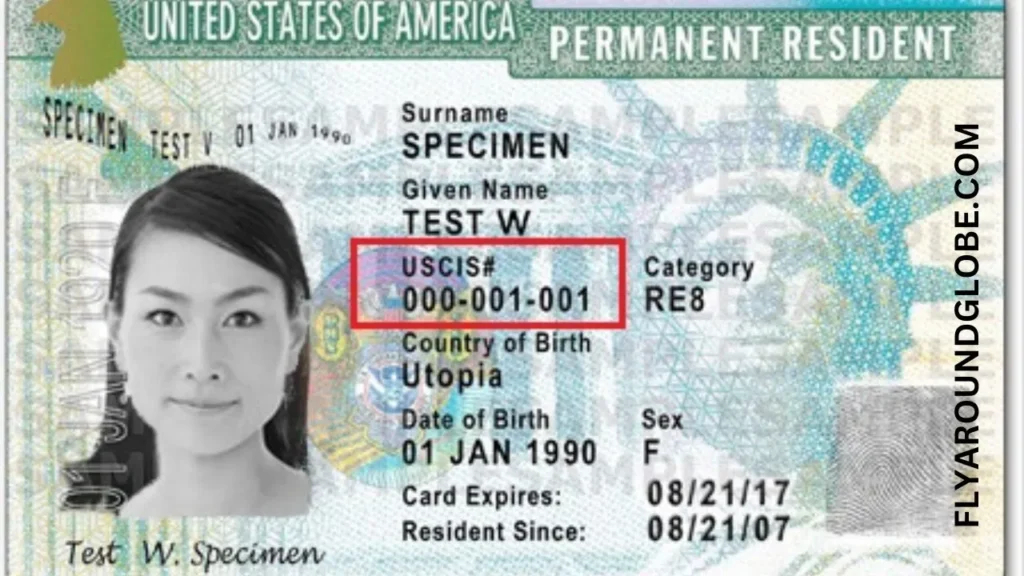 Alien Registration Number: What is an “A” Number and Where Can I Find it on My Green Card 2024? 2 alien-registration-number-green-card