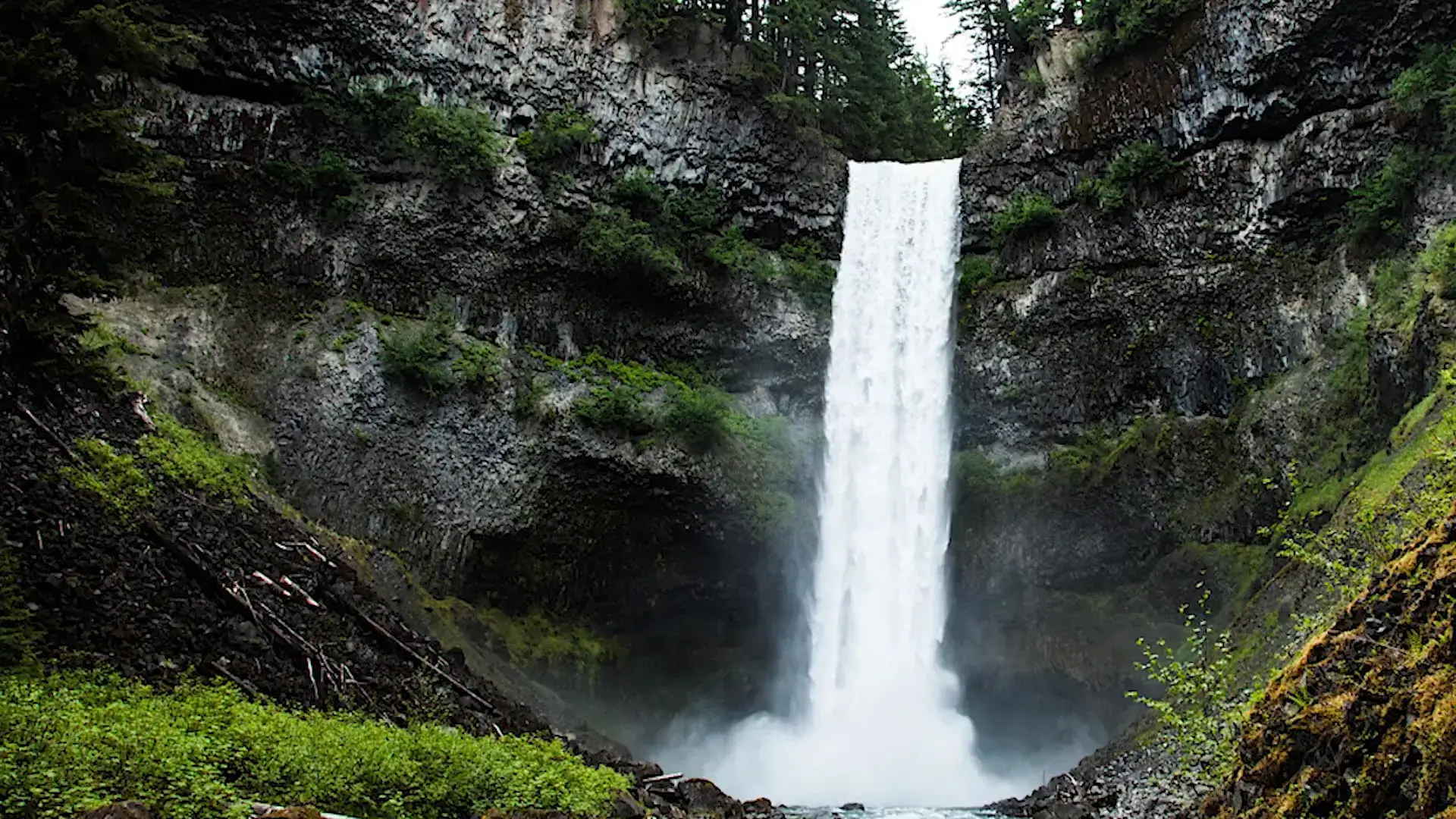 All Seasonal Guide to Squamish, BC 2024